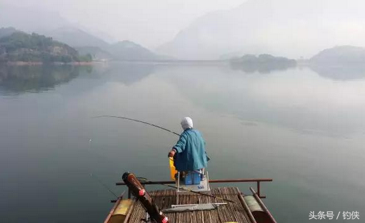 鱼的生活习性，鱼的生活特点（钓鱼技巧：不同季节的鱼）