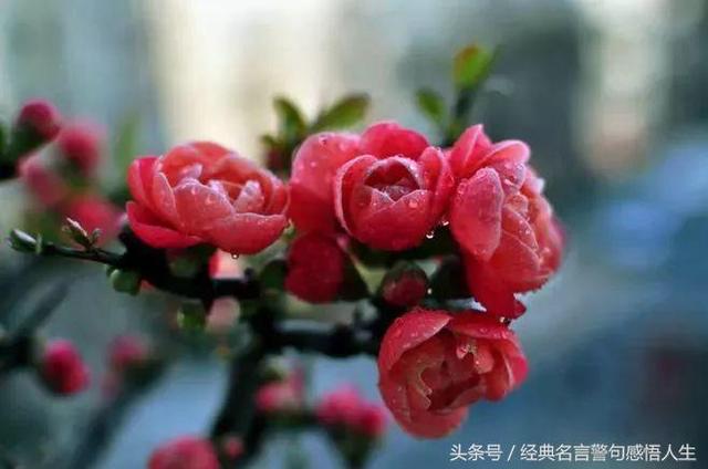 再不疯狂我们就老了，再不疯狂我们就变老了（再不疯狂我们就老了）