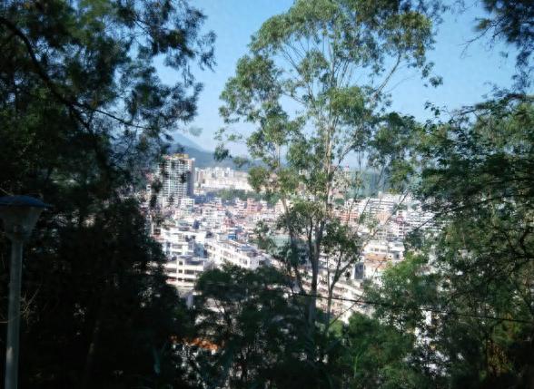 肇庆旅游景点攻略，“翠竹公园”合适度假！