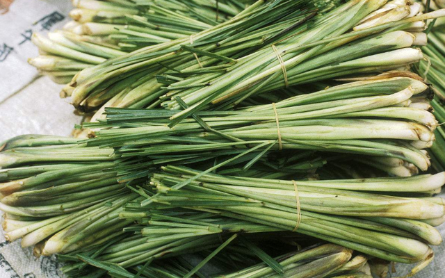 韭叶芸香草的功效与作用,韭叶芸香草的功效与作用是什么(10种超级香的