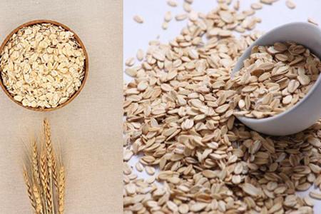 吃燕麦片的禁忌，食用燕麦的注意事项（燕麦片的功效与作用及禁忌）
