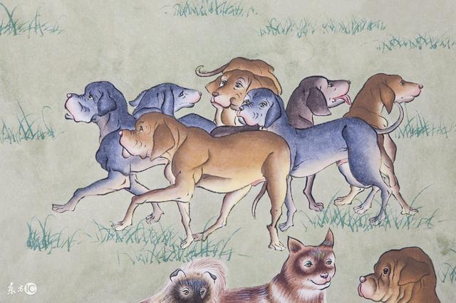 82属狗今年财运怎样，今天82年属狗的财运怎么样（1982年属狗的人2018年本命年生肖运势）