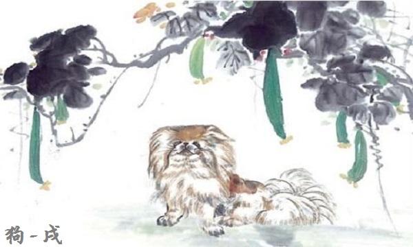 82属狗今年财运怎样，今天82年属狗的财运怎么样（1982年属狗的人2018年本命年生肖运势）