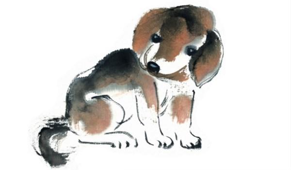 82属狗今年财运怎样，今天82年属狗的财运怎么样（1982年属狗的人2018年本命年生肖运势）