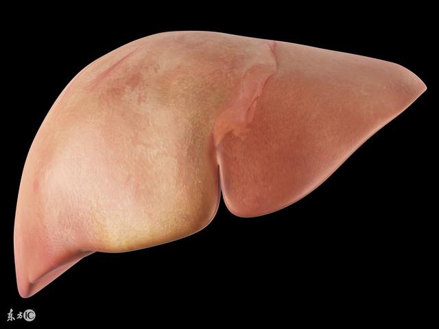 肝囊肿是一种什么病严重不严重，肝囊肿严重吗