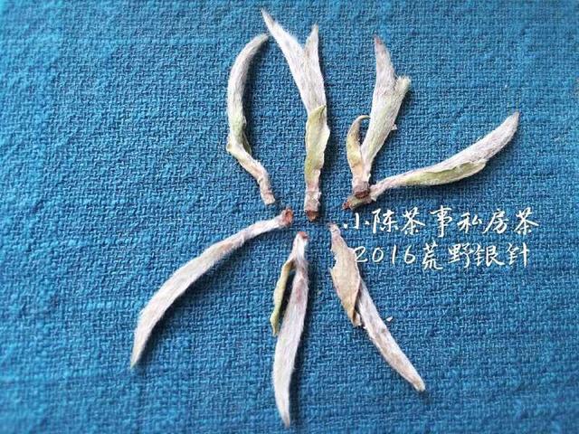 常见白茶有哪些品种，常见白茶有哪些品种好（让你一次性彻底了解白茶的分类）