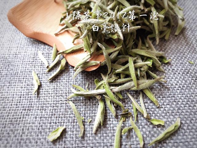 常见白茶有哪些品种，常见白茶有哪些品种好（让你一次性彻底了解白茶的分类）