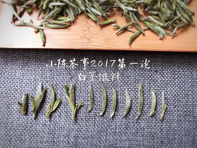 常见白茶有哪些品种，常见白茶有哪些品种好（让你一次性彻底了解白茶的分类）