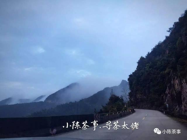 常见白茶有哪些品种，常见白茶有哪些品种好（让你一次性彻底了解白茶的分类）