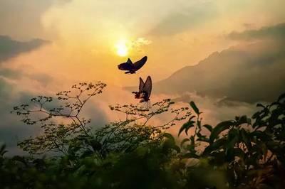 对韵歌鱼对什么，对韵歌里面的鱼对什么（笠翁对韵<上下卷>）