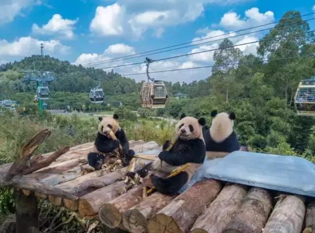 长隆欢乐世界旅游攻略，广州长隆欢乐世界攻略最佳路线（广州长隆旅游攻略，史上最全）