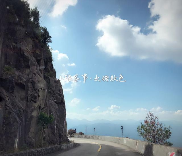 常见白茶有哪些品种，常见白茶有哪些品种好（让你一次性彻底了解白茶的分类）