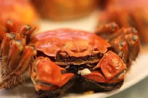 麻辣香锅的热量，偶尔吃一顿麻辣香锅会胖吗（原来减肥也能吃这些肉）