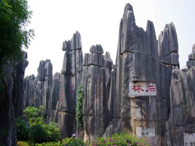 石林风景区介绍，石林景区介绍（“天下第一奇观”云南石林）