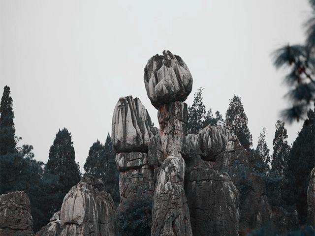 石林风景区介绍，石林景区介绍（“天下第一奇观”云南石林）