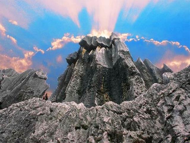 石林风景区介绍，石林景区介绍（“天下第一奇观”云南石林）