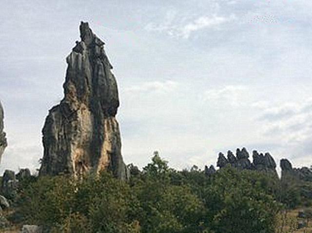 石林风景区介绍，石林景区介绍（“天下第一奇观”云南石林）