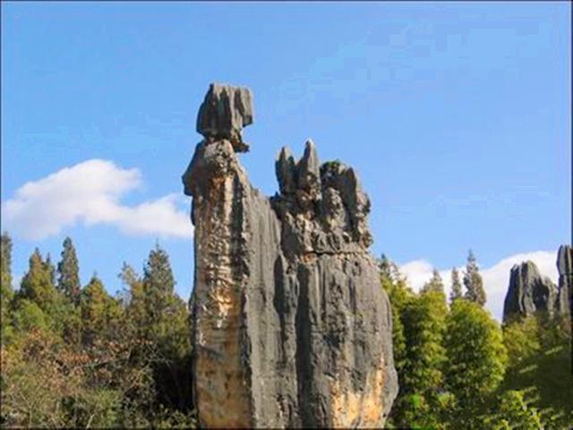 石林风景区介绍，石林景区介绍（“天下第一奇观”云南石林）