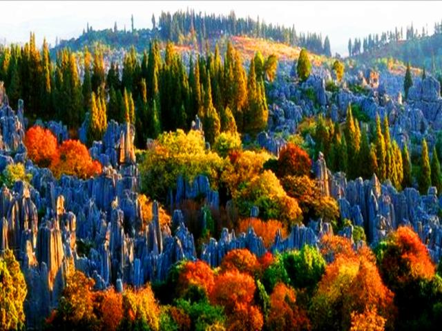 石林风景区介绍，石林景区介绍（“天下第一奇观”云南石林）