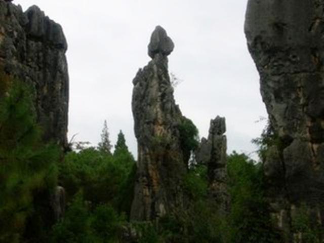 石林风景区介绍，石林景区介绍（“天下第一奇观”云南石林）