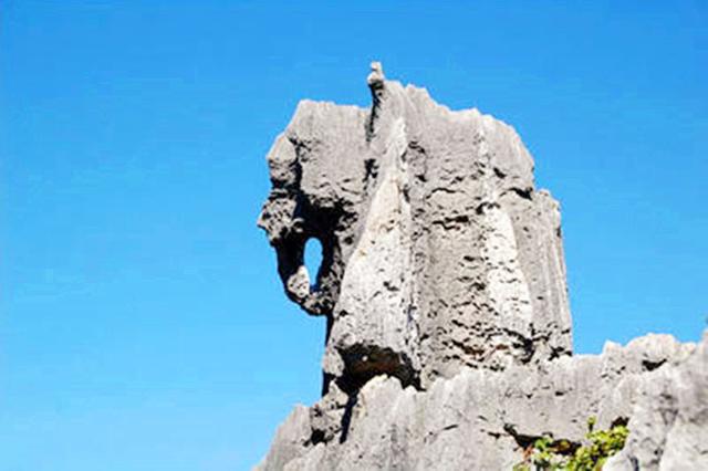 石林风景区介绍，石林景区介绍（“天下第一奇观”云南石林）