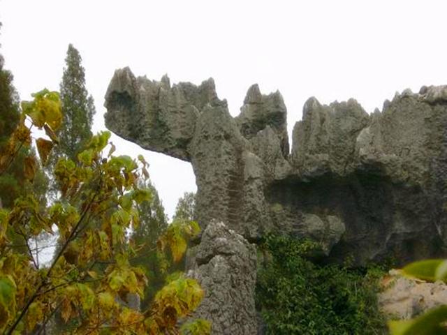 石林风景区介绍，石林景区介绍（“天下第一奇观”云南石林）