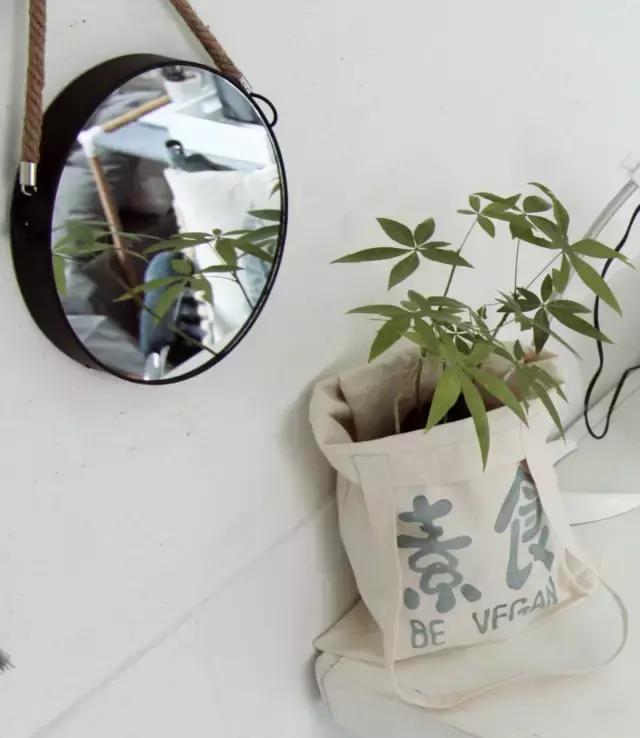 矿泉水瓶手工制作花瓶趣味变废为宝手工制作，矿泉水瓶子怎样做成手工花瓶（矿泉水瓶和饮料瓶改造成的9种很有家居特色的花盆教程）