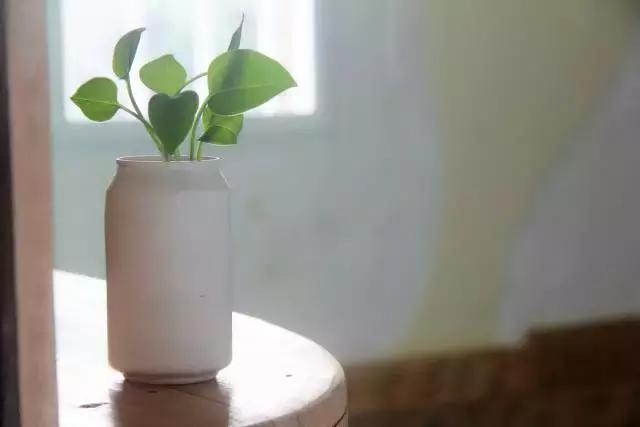 矿泉水瓶手工制作花瓶趣味变废为宝手工制作，矿泉水瓶子怎样做成手工花瓶（矿泉水瓶和饮料瓶改造成的9种很有家居特色的花盆教程）