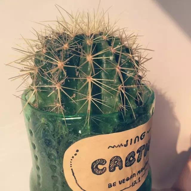 矿泉水瓶手工制作花瓶趣味变废为宝手工制作，矿泉水瓶子怎样做成手工花瓶（矿泉水瓶和饮料瓶改造成的9种很有家居特色的花盆教程）