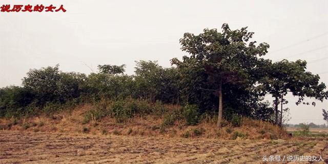 典韦是怎么死的，典韦怎么死的（三国五个被砍掉头颅的猛将）