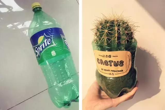 矿泉水瓶手工制作花瓶趣味变废为宝手工制作，矿泉水瓶子怎样做成手工花瓶（矿泉水瓶和饮料瓶改造成的9种很有家居特色的花盆教程）