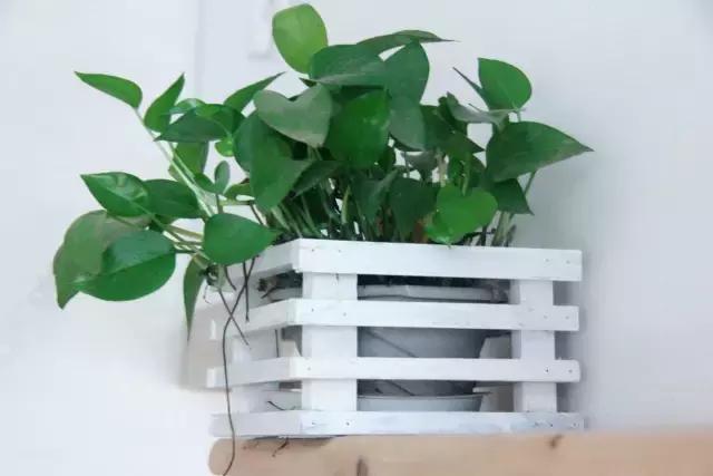 矿泉水瓶手工制作花瓶趣味变废为宝手工制作，矿泉水瓶子怎样做成手工花瓶（矿泉水瓶和饮料瓶改造成的9种很有家居特色的花盆教程）