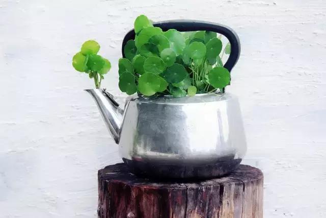 矿泉水瓶手工制作花瓶趣味变废为宝手工制作，矿泉水瓶子怎样做成手工花瓶（矿泉水瓶和饮料瓶改造成的9种很有家居特色的花盆教程）