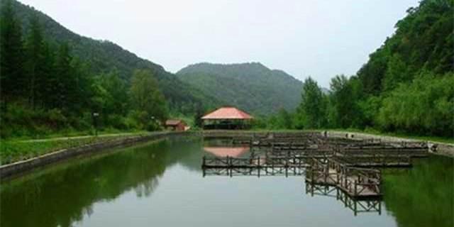 0931是哪里的区号，0913是哪里的区号啊（甘肃省兰州市榆中县）