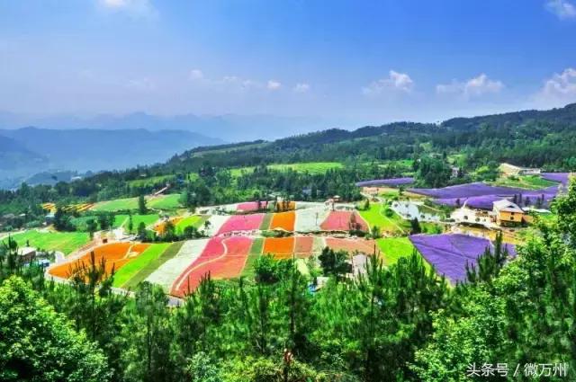 万州区有哪些风景名胜，万州旅游十大景点（万州这10个景区豪送门票）