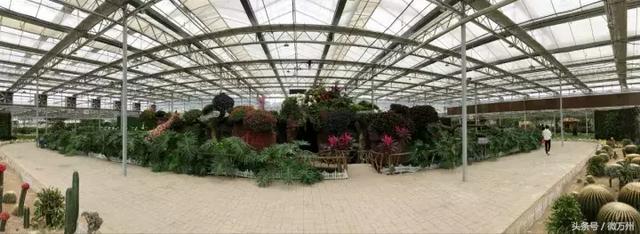 万州区有哪些风景名胜，万州旅游十大景点（万州这10个景区豪送门票）