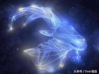 天蝎是什么动物，天蝎座适合养什么动物（十二星座的代表动物）