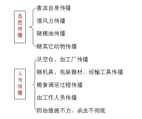 黑菌虫怎么消灭，黑菌虫怎么去除（粮食行业职业技能培训<四>）