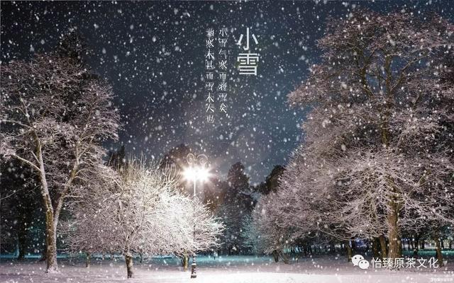 冬雪雪冬中两个雪指的是什么，冬雪雪冬中两个雪指的是什么视频（二十四节气养生栏目）