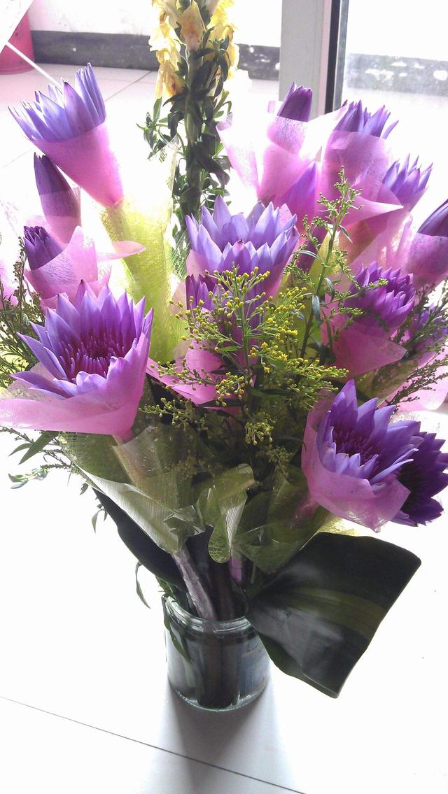 睡火莲的花语和象征意义，睡火莲：格兰蒂亚最娇贵的花