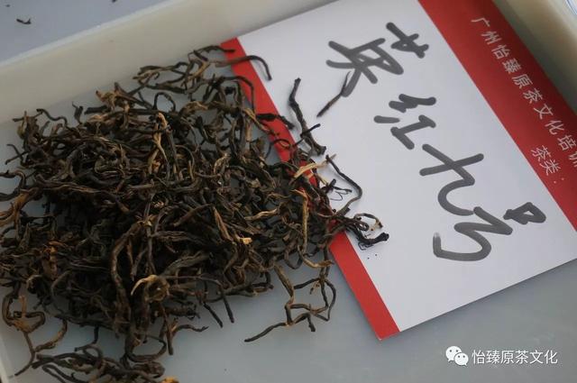 冬雪雪冬中两个雪指的是什么，冬雪雪冬中两个雪指的是什么视频（二十四节气养生栏目）