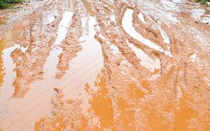 冰糖是什么做的，什么样的冰糖质量最好（如今不起眼的冰糖历史上竟是贵族专属）