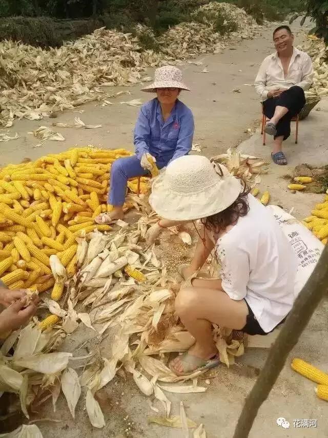 少女之心手抄本，手抄本少女之心（灵魂深处的爱恋）