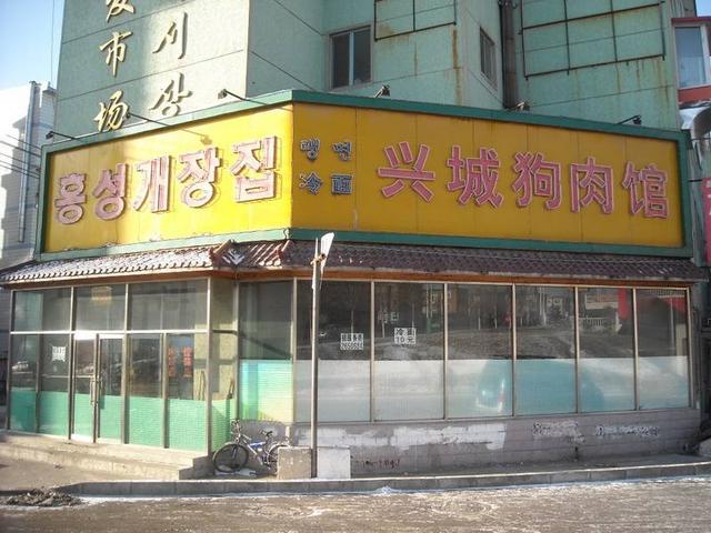 怎么看狼青纯不纯，怎么看狼青有几个月了（狗肉馆待宰的“狼青”）