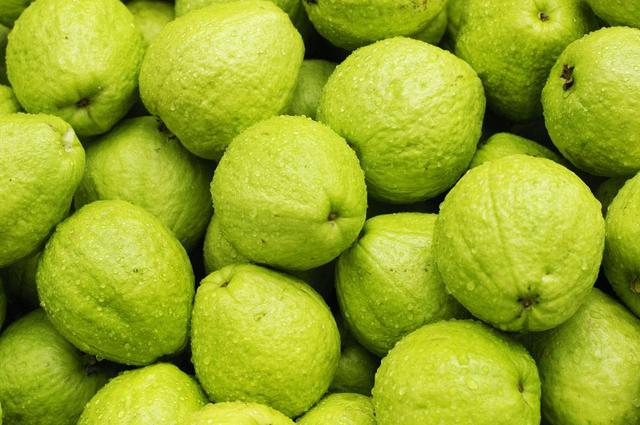 番石榴根的功效与作用，番石榴汁的功效与作用（它是肥胖症及肠胃不佳者理想的食用水果）