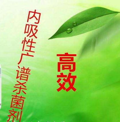 黄瓜角斑病炭疽病黑星病的区别，黄瓜炭疽病和黄瓜黑星病的识别和防治方法