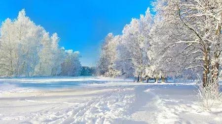 stamps是什么意思，buysomestamps是什么意思（八年级上册所有必考知识点都在这里了学习一年）