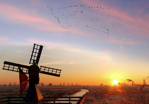 爱情句子表达心情，爱情句子表达心情伤感（无奈的爱情说说，心情感悟）