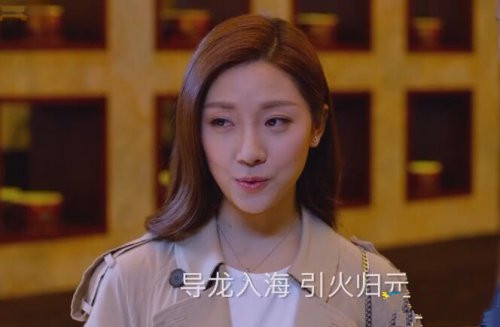 导龙入海引火归元是什么意思，导龙入海汤（罗伊人用中医术语调侃郑秋冬）