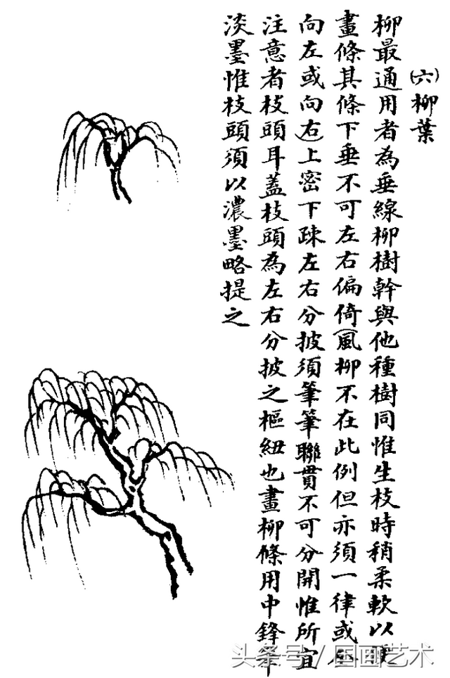 水草简笔画怎么画，水草简笔画简单（国画入门之树干、树枝、树叶、竹芦水草画法详解）